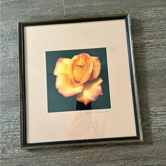 Framed Peach Rose Photograph By Bud Hereman Wall Art Decor 12/13 Inch - Picture 6 of 14